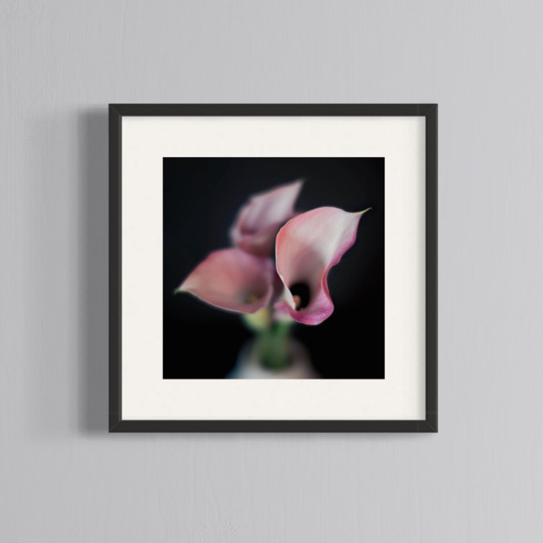 Floral Photography | Pink Lillies