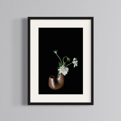 Floral Photography | Still Life with White Flowers