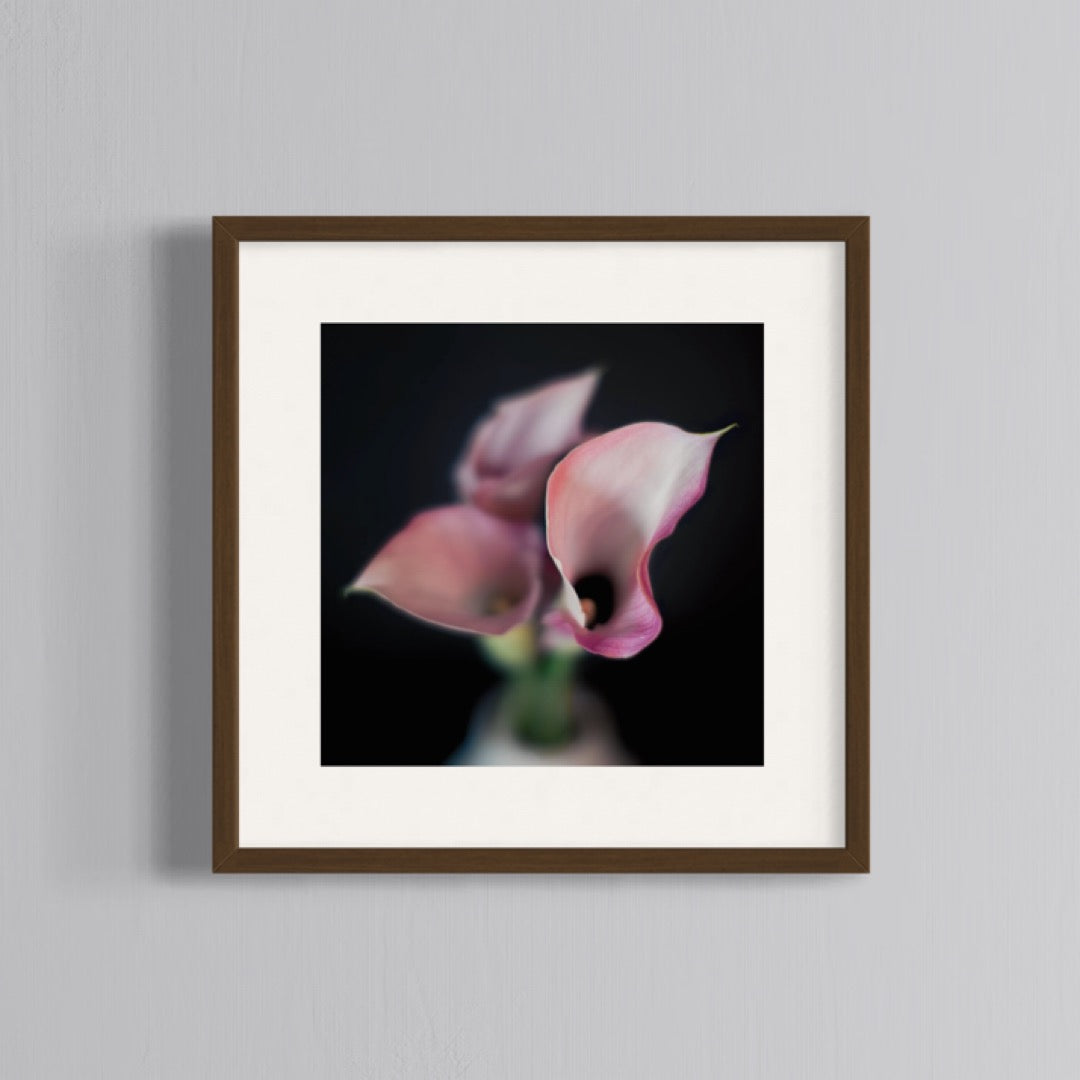 Floral Photography | Pink Lillies