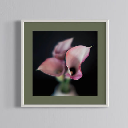 Floral Photography | Pink Lillies