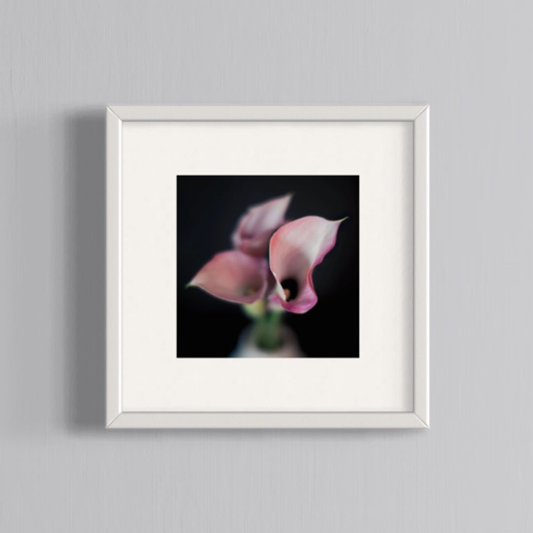 Floral Photography | Pink Lillies