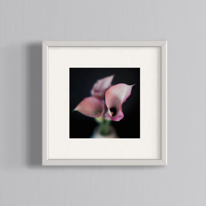 Floral Photography | Pink Lillies