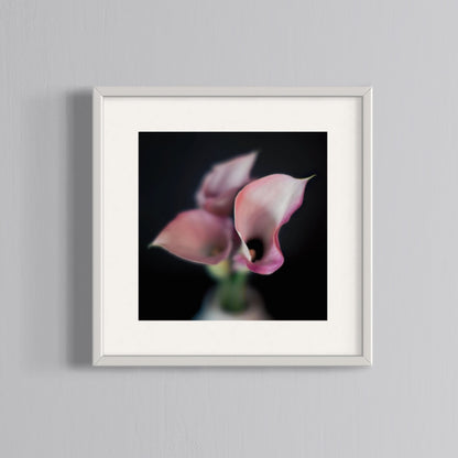 Floral Photography | Pink Lillies