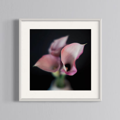 Floral Photography | Pink Lillies