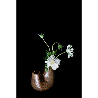 Floral Photography | Still Life with White Flowers